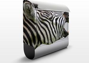 Poštovní schránka s potiskem Řvoucí zebra