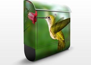 Poštovní schránka s potiskem Kolibřík s květem