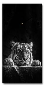 Moderné hodiny nástenné Tiger pl_zsp_30x60_f_101258480