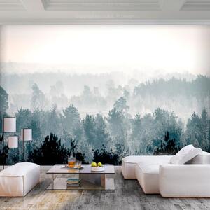 Veľkoformátová tapeta Artgeist Winter Forest 400 x 280 cm
