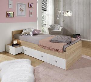 Detská posteľ s úložným Priestorom Wiki, 90x200