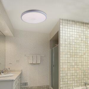 Rabalux 1429 LED stropné svietidlo do kúpeľne Brandon 24W | 4000K | IP65