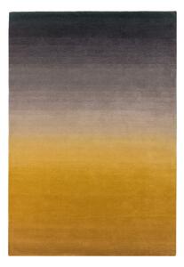 Žlto-sivý koberec Asiatic Carpets Ombre, 120 x 170 cm