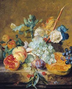 Jan van Huysum - Umelecká tlač Flowers and Fruit, (35 x 40 cm)