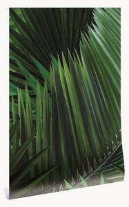 Tapeta z netkanej textílie Palm