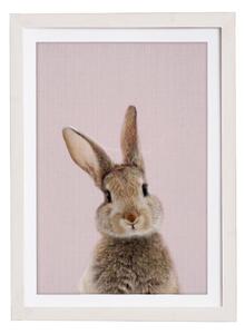Nástenný obraz v ráme Querido Bestiario Baby Rabbit, 30 x 40 cm