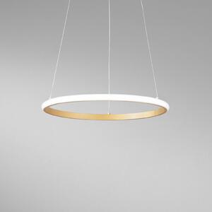LED závesné svietidlo Axis, Ø 40 cm, zlatá farba, kov,, Mosadz / zlato, Obývacia izba / jedáleň, kov, Moderný, Závesné svietidlo