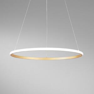 LED závesné svietidlo Axis, Ø 60 cm, zlatá farba, kov,, Mosadz / zlato, Obývacia izba / jedáleň, kov, Moderný, Závesné svietidlo