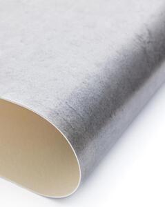 PVC podlaha Lentex Bonus 58002