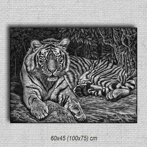 Obraz Tiger 01 Čierna 60x45 cm
