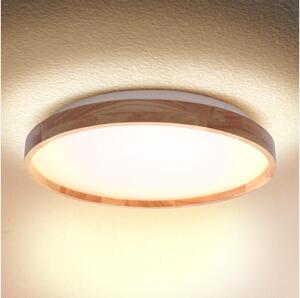 Brilagi - LED Stropné svietidlo ALSON LED/24W/230V dub
