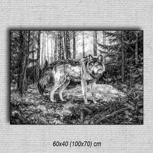 Obraz Vlk 01 Čierna 60x40 cm