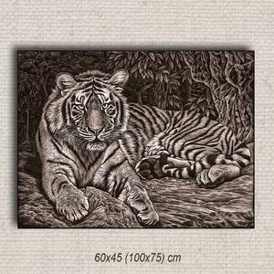 Obraz Tiger 01 Hnedá 60x45 cm