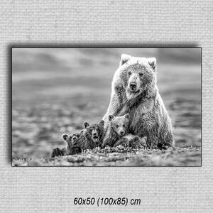 Obraz Medvede 03 Čierna 60x50 cm