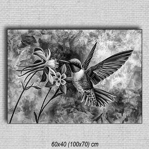 Obraz Kolibrík 01 Čierna 100x70 cm