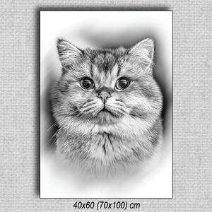 Obraz Mačka 03 Čierna 60x40 cm