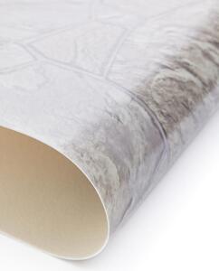 PVC podlaha Lentex Bonus 40906