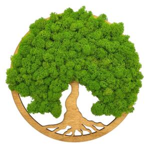 Flukoland Machový Obraz Strom života Simple Oak 30cm
