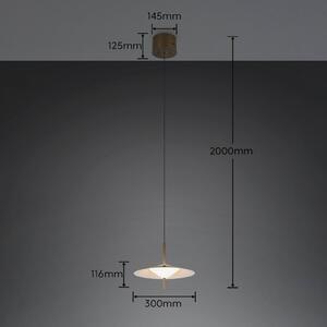 Trio Lighting LED závesné svietidlo Amalo, platinová farba, Ø 30 cm, kov,, Hliník / sivá / zinok, Obývacia izba / jedáleň, kov, Moderný, Závesné svietidlo