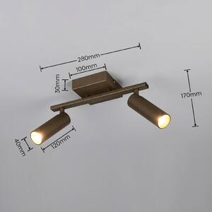 Trio Lighting Stropné bodové svetlo Dara, dĺžka 28 cm, platinová farba, kovový, 2-pl., Hliník / sivá / zinok, Obývacia izba / jedáleň, kov, Moderný, Stropné svetlo