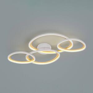 Trio Lighting Stropné LED svetlo Sivo, dĺžka 103 cm, matná biela, kov, CC, Biela / opálová, Obývacia izba / jedáleň, kov, Stropné svetlo