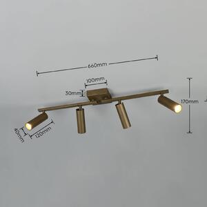 Trio Lighting Stropné bodové svetlo Dara, dĺžka 66 cm, platinovo sfarbený kov, 4-pl., Hliník / sivá / zinok, Obývacia izba / jedáleň, kov, Moderný, Stropné svetlo