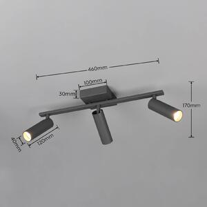 Trio Lighting Stropné bodové svetlo Dara, dĺžka 46 cm, antracitová farba, kov, 3-pl., Čierna, Obývacia izba / jedáleň, kov, Moderný, Stropné svetlo