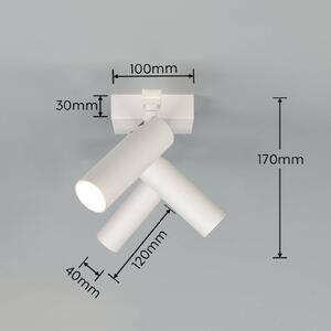 Trio Lighting Stropné bodové svetlo Dara, dĺžka 46 cm, sivý, kov, 3-pl., Hliník / sivá / zinok, Obývacia izba / jedáleň, kov, Moderný, Stropné svetlo