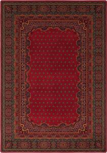 Koberec Dywilan Polonia Baron Burgund 2
