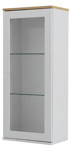 Biela jednodverová vitrína Tenzo Dot, výška 95 cm