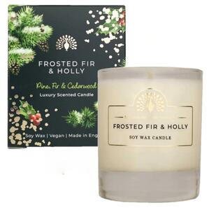 Vonná sviečka Frosted Fir and Holly 170 ml