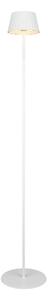 AKUMULÁTOROVÁ STOJACIA LAMPA, 13,5/123 cm - Interiérové svietidlá