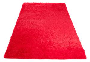 TA Koberec RED RED SILK Červený Obdĺžnikový Rozmer: 140x200 cm