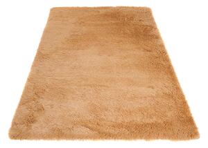 TA Koberec BEIGE BEIGE SILK Béžový Obdĺžnikový Rozmer: 120x170 cm