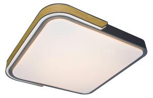 STROPNÉ LED SVIETIDLO, 42/8,5/42 cm Rabalux - Interiérové svietidlá