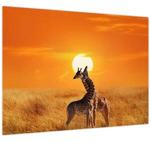 Obraz - Žirafy v národnom parku Serengeti (70x50 cm)