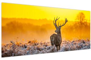 Obraz - Jeleň pri východe slnka (120x50 cm)