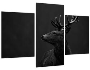 Obraz - Portrét jeleňa (90x60 cm)