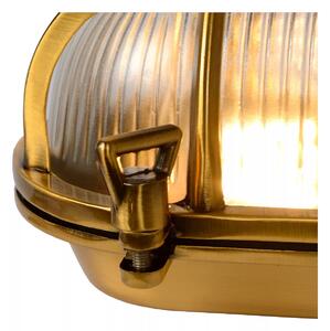 Lucide 11891/20/02 nástenná vonkajšia lampa Dudley 1x40W | E27 | IP65 - mosadzná, stmievateľná