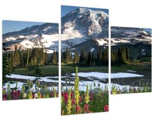 Obraz - Mount Rainier (90x60 cm)