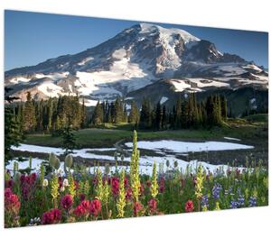 Obraz - Mount Rainier (90x60 cm)