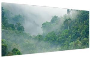 Obraz - Ranná hmla (120x50 cm)