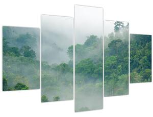Obraz - Ranná hmla (150x105 cm)