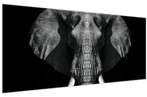 Obraz - Slon na čiernom pozadí (120x50 cm)