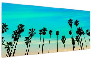 Obraz - Kalifornia (120x50 cm)