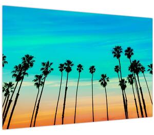 Obraz - Kalifornia (90x60 cm)