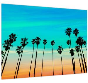 Obraz - Kalifornia (70x50 cm)