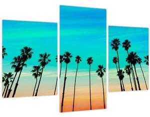 Obraz - Kalifornia (90x60 cm)