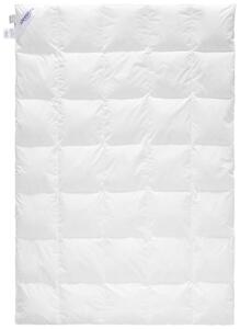 CELOROČNÁ PRIKRÝVKA, 140/200 cm, perie, páperie Sleeptex - Prikrývky & vankúše