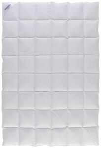 CELOROČNÁ PRIKRÝVKA, 140/200 cm, páperie Sleeptex - Prikrývky & vankúše